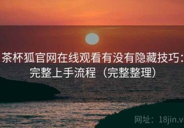 茶杯狐官网在线观看有没有隐藏技巧：完整上手流程（完整整理）