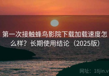 第一次接触蜂鸟影院下载加载速度怎么样？长期使用结论（2025版）