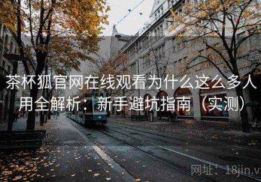 茶杯狐官网在线观看为什么这么多人用全解析：新手避坑指南（实测）