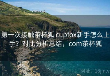 第一次接触茶杯狐 cupfox新手怎么上手？对比分析总结，com茶杯狐