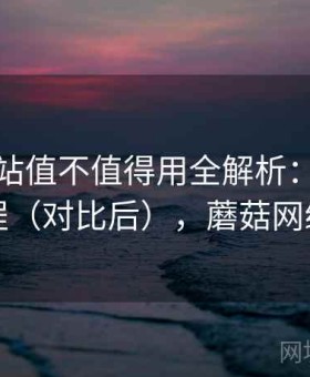 蘑菇网站值不值得用全解析：完整上手流程（对比后），蘑菇网络官网
