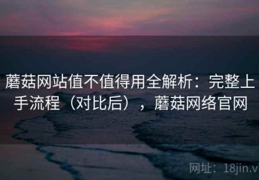蘑菇网站值不值得用全解析：完整上手流程（对比后），蘑菇网络官网