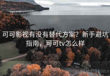可可影视有没有替代方案？新手避坑指南，可可tv怎么样