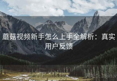 蘑菇视频新手怎么上手全解析：真实用户反馈