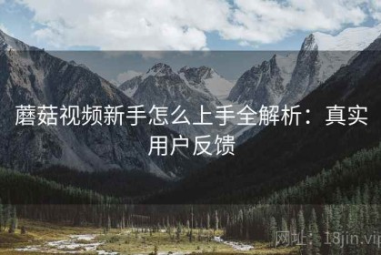 蘑菇视频新手怎么上手全解析：真实用户反馈