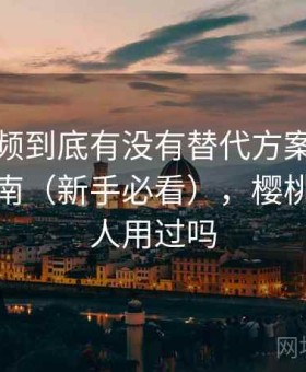 樱桃视频到底有没有替代方案？新手避坑指南（新手必看），樱桃视频有人用过吗