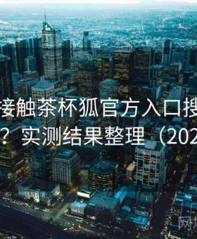 第一次接触茶杯狐官方入口搜索好不好用？实测结果整理（2025版）