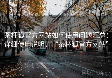 茶杯狐官方网站如何使用问题汇总：详细使用说明，“茶杯狐官方网站”