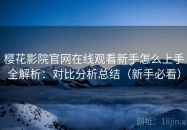 樱花影院官网在线观看新手怎么上手全解析：对比分析总结（新手必看）