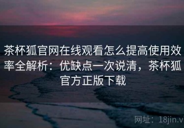 茶杯狐官网在线观看怎么提高使用效率全解析：优缺点一次说清，茶杯狐官方正版下载