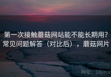 第一次接触蘑菇网站能不能长期用？常见问题解答（对比后），蘑菇网片