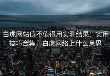 白虎网站值不值得用实测结果：实用技巧合集，白虎网络上什么意思