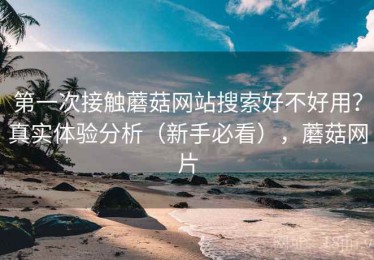 第一次接触蘑菇网站搜索好不好用？真实体验分析（新手必看），蘑菇网片