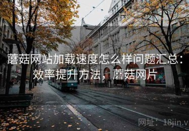 蘑菇网站加载速度怎么样问题汇总：效率提升方法，蘑菇网片