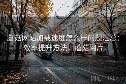 蘑菇网站加载速度怎么样问题汇总：效率提升方法，蘑菇网片