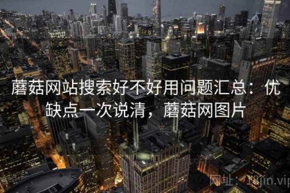 蘑菇网站搜索好不好用问题汇总：优缺点一次说清，蘑菇网图片