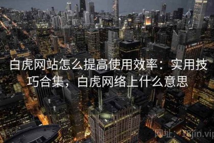 白虎网站怎么提高使用效率：实用技巧合集，白虎网络上什么意思