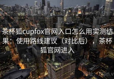 茶杯狐cupfox官网入口怎么用实测结果：使用路线建议（对比后），茶杯狐官网进入