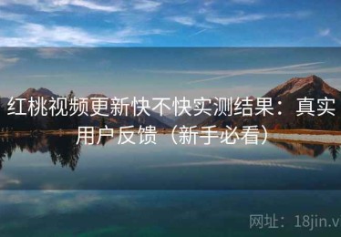 红桃视频更新快不快实测结果：真实用户反馈（新手必看）