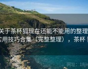 关于茶杯狐现在还能不能用的整理：实用技巧合集（完整整理），茶杯 狐