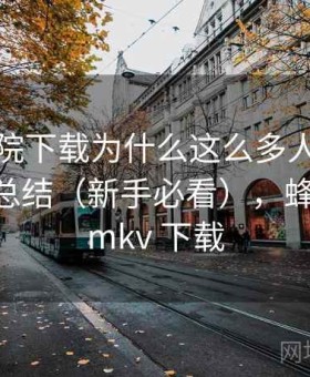 蜂鸟影院下载为什么这么多人用？对比分析总结（新手必看），蜂鸟影院 mkv 下载