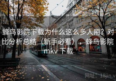 蜂鸟影院下载为什么这么多人用？对比分析总结（新手必看），蜂鸟影院 mkv 下载
