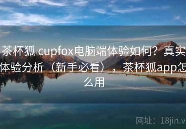 茶杯狐 cupfox电脑端体验如何？真实体验分析（新手必看），茶杯狐app怎么用