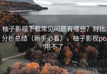 柚子影视下载常见问题有哪些？对比分析总结（新手必看），柚子影视pc用不了