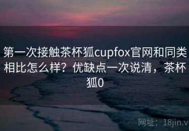 第一次接触茶杯狐cupfox官网和同类相比怎么样？优缺点一次说清，茶杯狐0