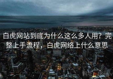 白虎网站到底为什么这么多人用？完整上手流程，白虎网络上什么意思