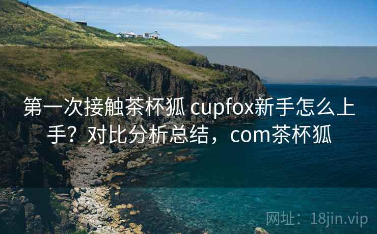 第一次接触茶杯狐 cupfox新手怎么上手？对比分析总结，com茶杯狐