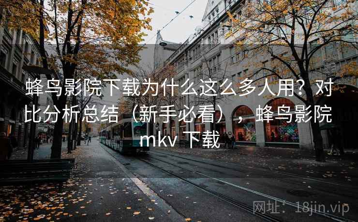 蜂鸟影院下载为什么这么多人用？对比分析总结（新手必看），蜂鸟影院 mkv 下载