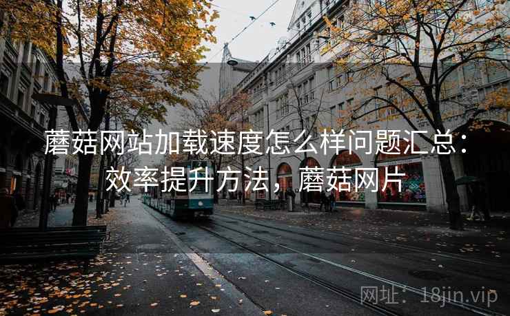 蘑菇网站加载速度怎么样问题汇总：效率提升方法，蘑菇网片