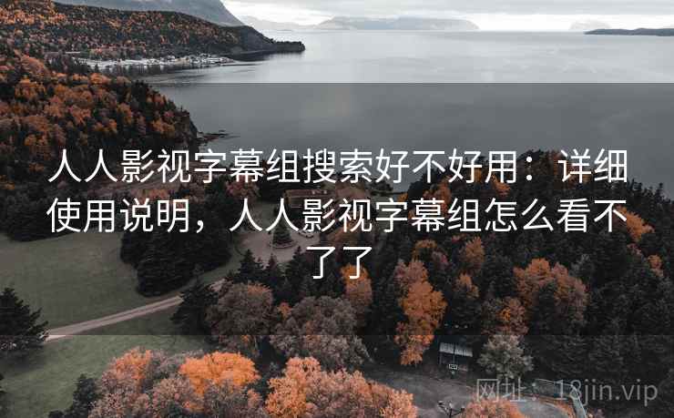 人人影视字幕组搜索好不好用：详细使用说明，人人影视字幕组怎么看不了了