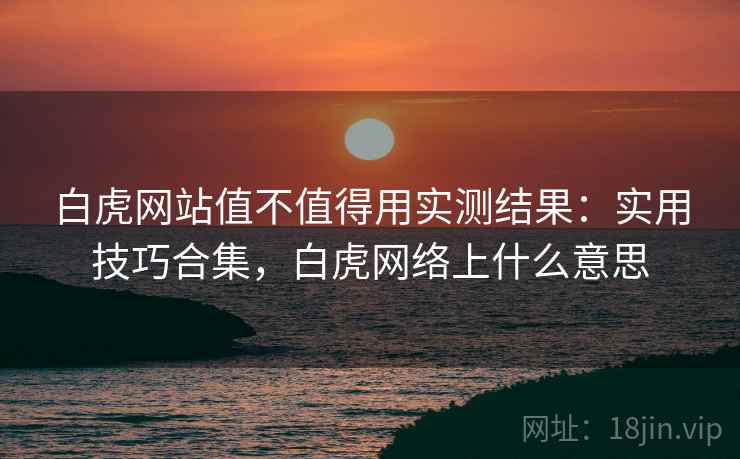 白虎网站值不值得用实测结果：实用技巧合集，白虎网络上什么意思