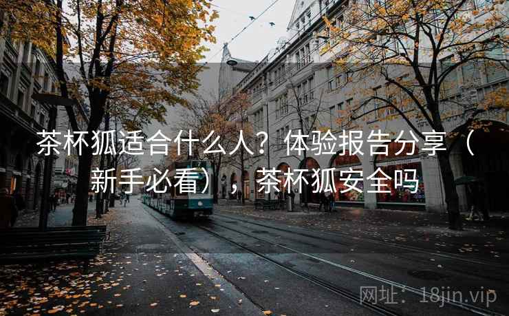 茶杯狐适合什么人？体验报告分享（新手必看），茶杯狐安全吗