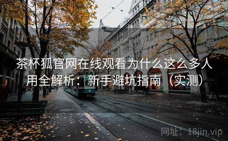 茶杯狐官网在线观看为什么这么多人用全解析：新手避坑指南（实测）