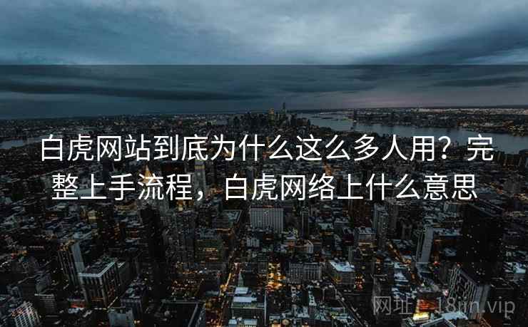 白虎网站到底为什么这么多人用？完整上手流程，白虎网络上什么意思