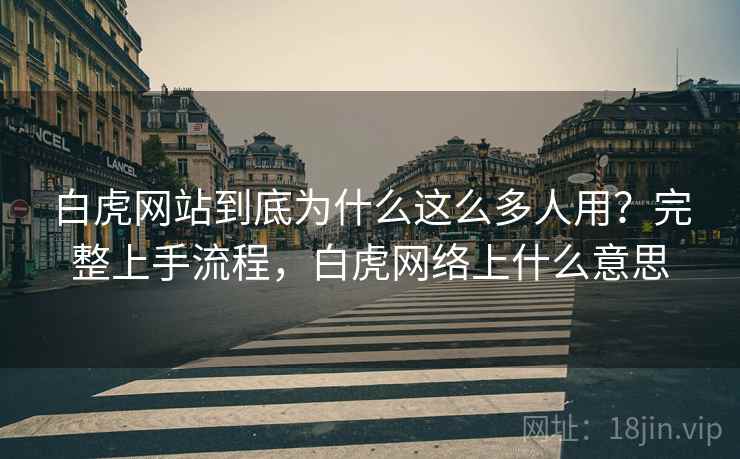 白虎网站到底为什么这么多人用？完整上手流程，白虎网络上什么意思